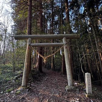 鳥居からトレイルスタートです。
(石碑に登山口とあります。）