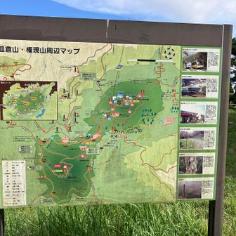 案内マップ🗺️