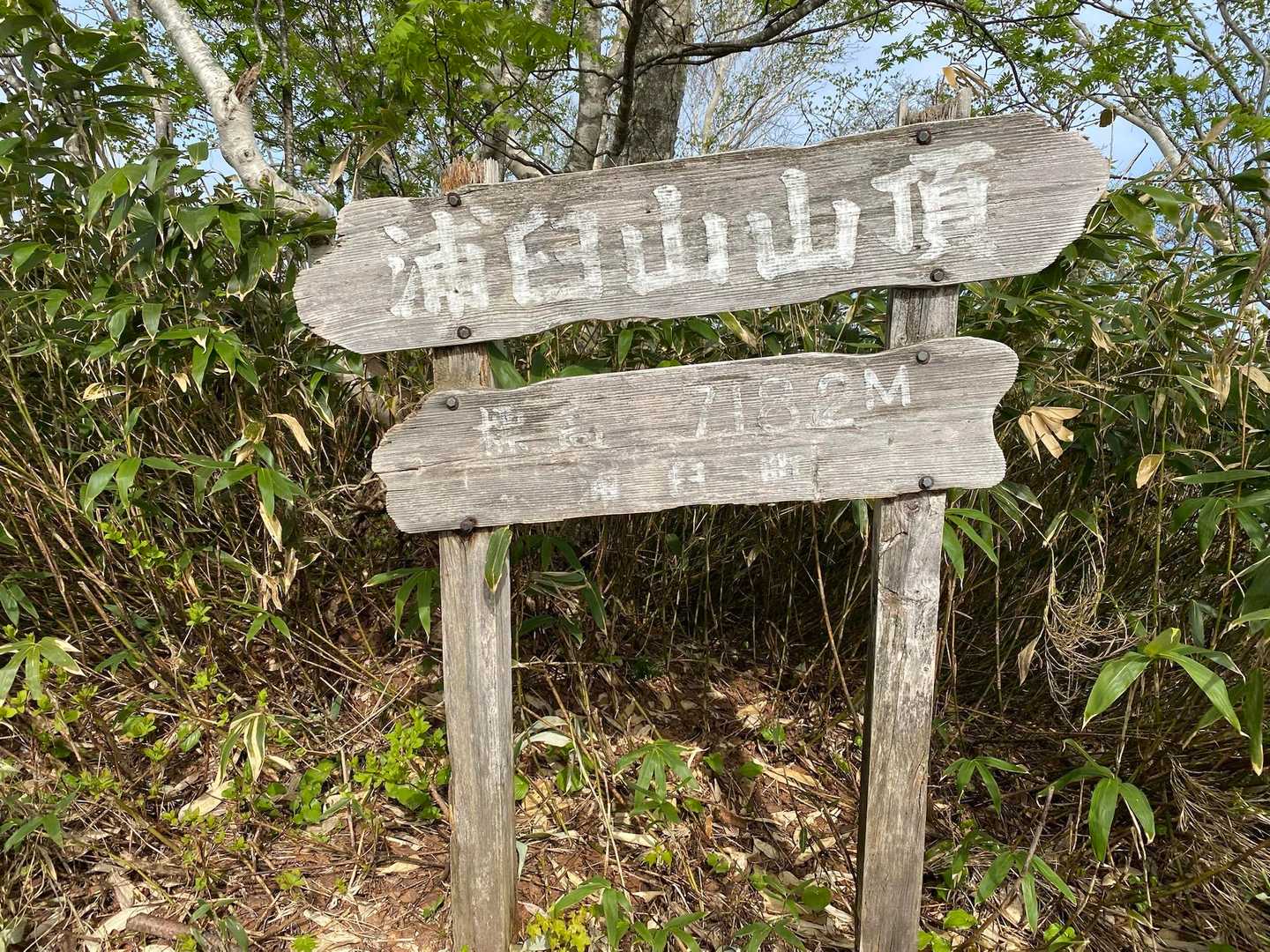 浦臼山-樺戸山-隈根尻山 往復コースの写真