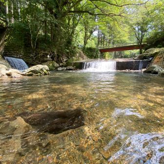 小倉生まれの筑豊者