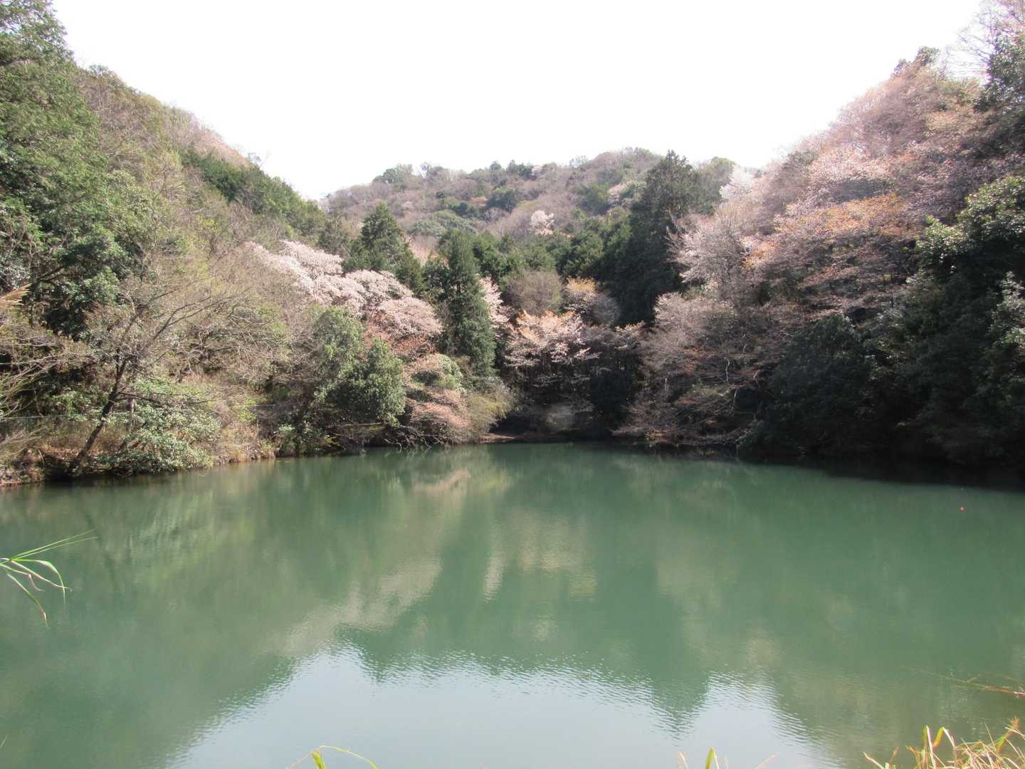 いいコントラストです