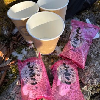 コレ！コレ！
ゼン主さんにいただいたカップ汁粉が美味しかったので探したけど見つからず😭杏林堂で井村屋のこちらを見つけて代替え品としましたが、お餅も入ってウマウマ🤤
