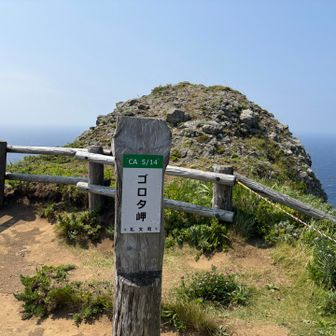 ゴロタ岬