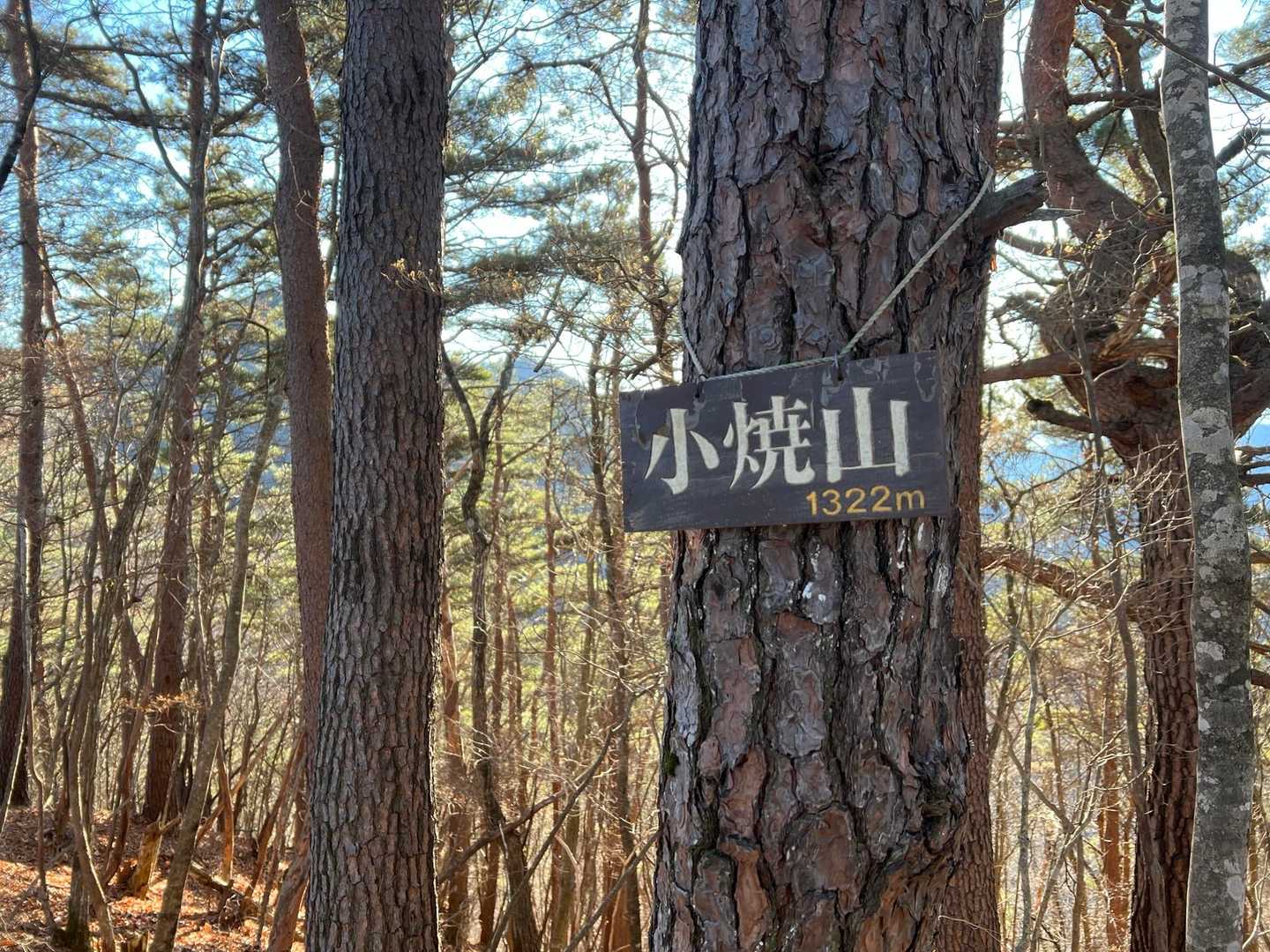 1座目　小焼山に到着