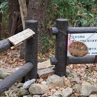 柵の隙間を通り抜け。狭い！
メタボ診断