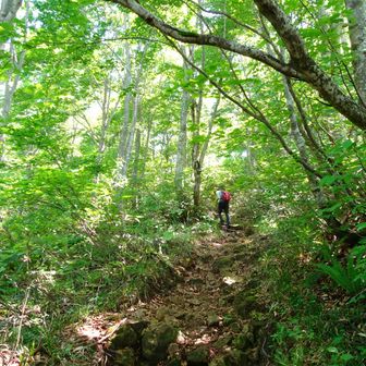 ピンチランナー