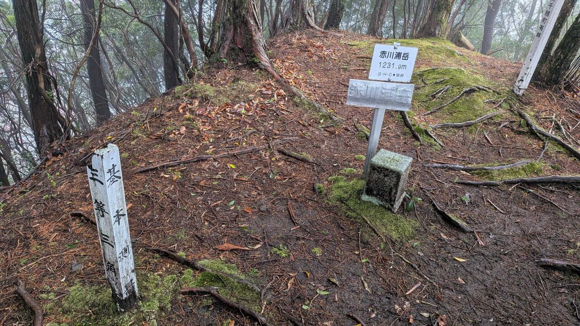 着きました🙌赤川浦岳！
こんな天気でも登れてよかった。