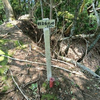 桝形山への縦走路へ進みました。