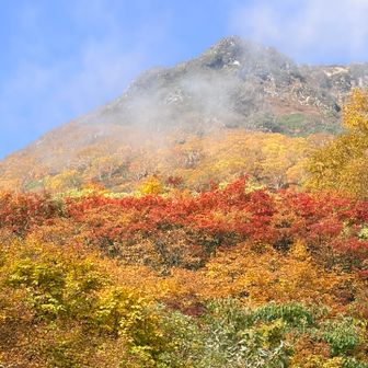 色付いてます🍁