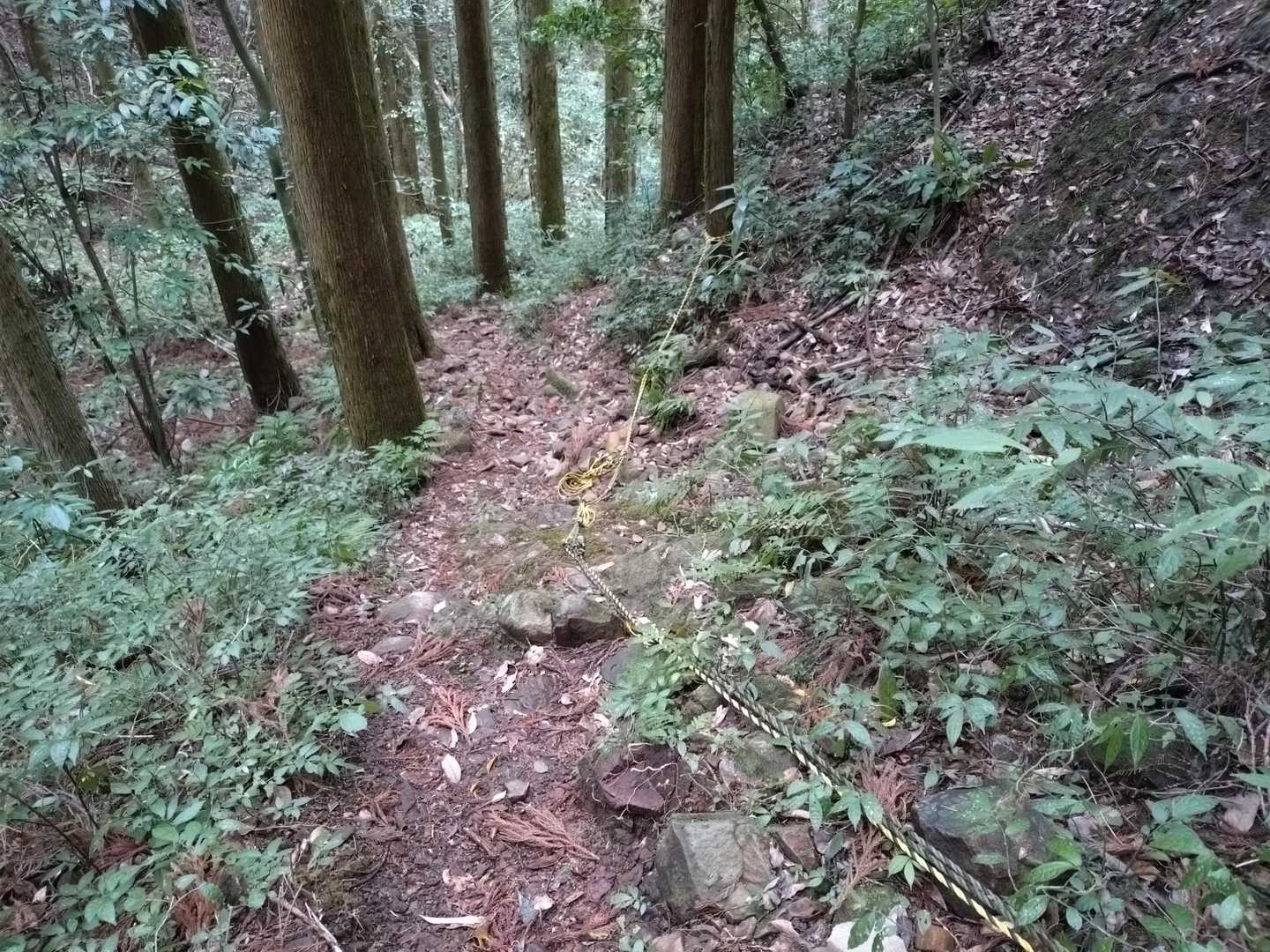 あちこちロープあり　
このお山にも整備してくださる方がいるんだな😊
