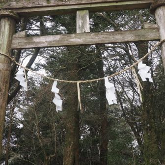鳥居の先まで行って見よう