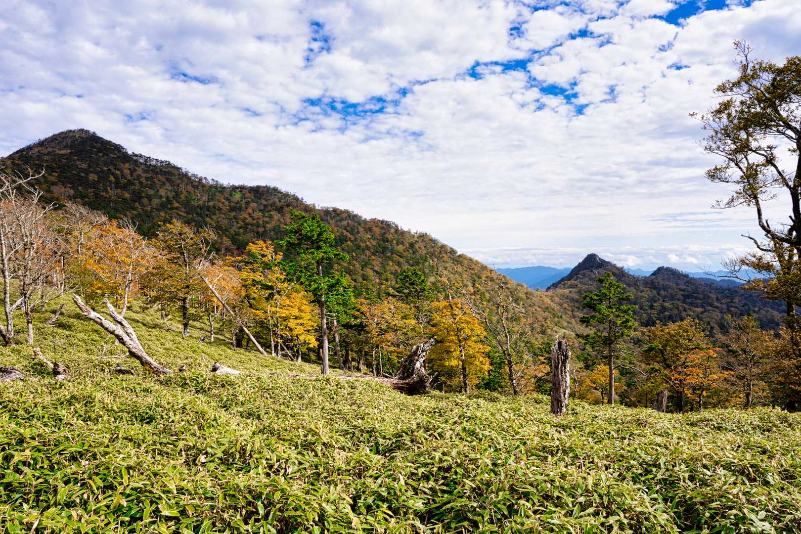 太尾登山口-古田ノ森-千丈平-釈迦ヶ岳-大日岳 往復コースの写真