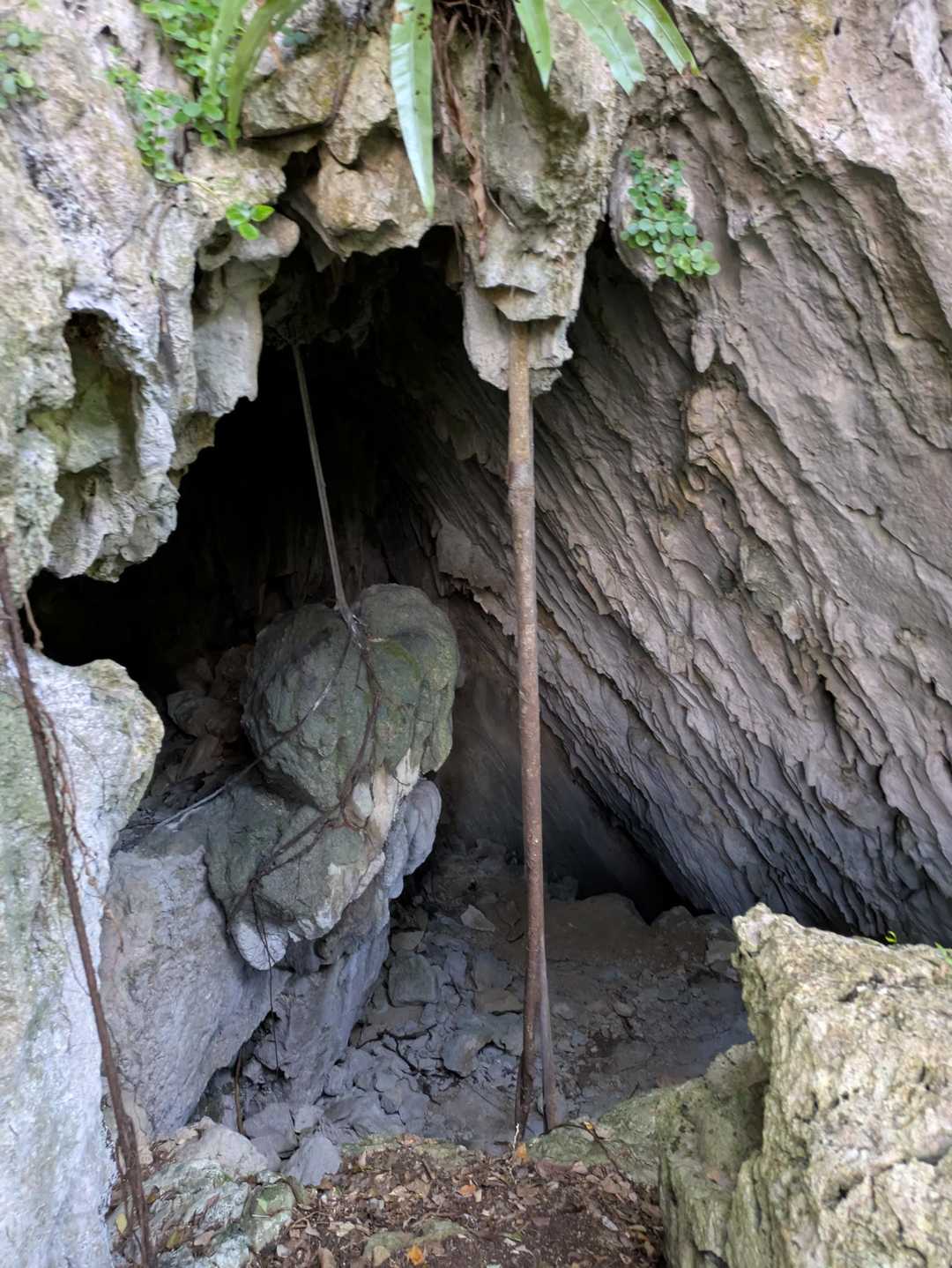 下山中に洞窟発見(@_@)