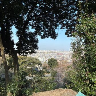 神社からの景色