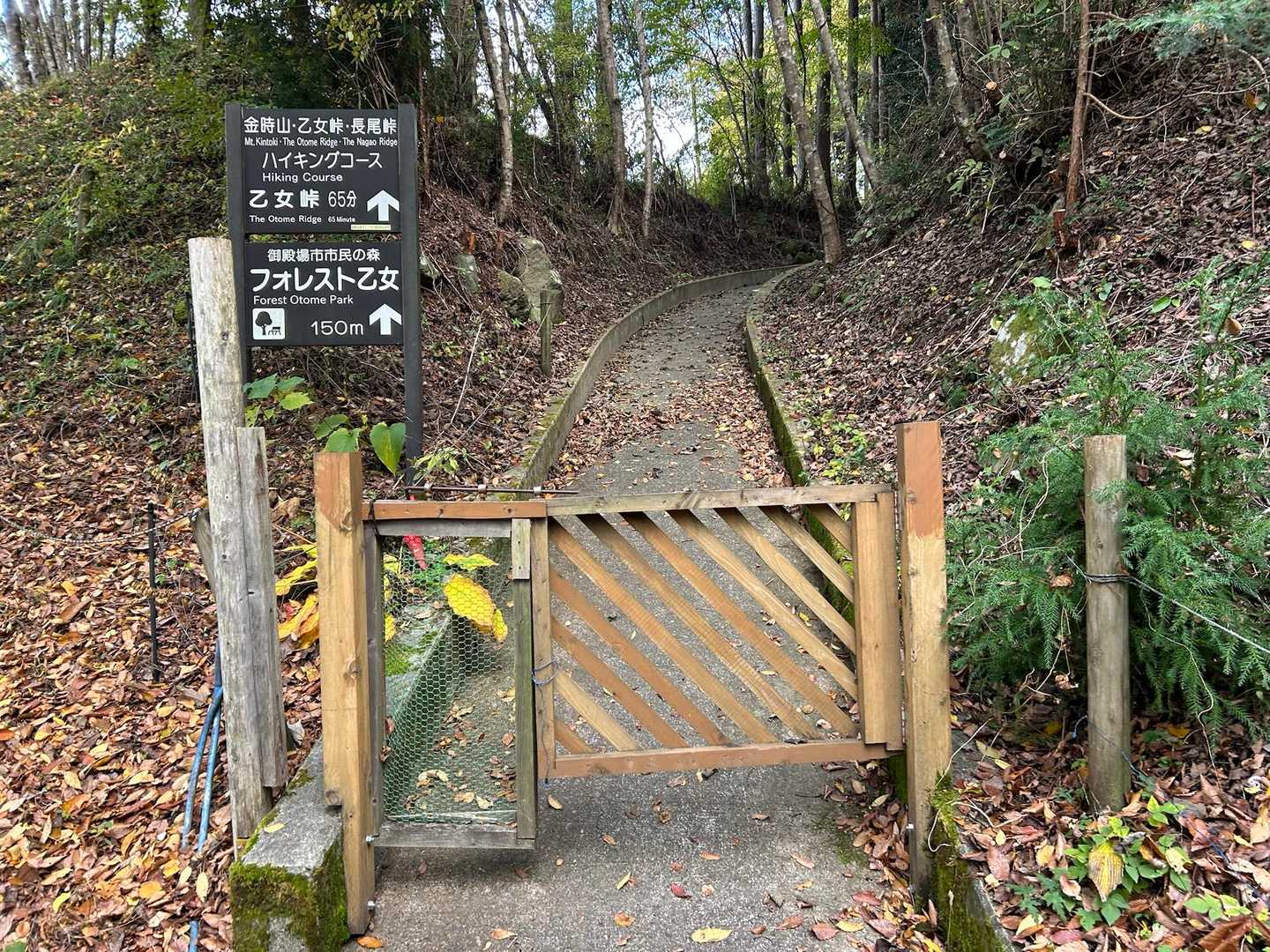乙女駐車場-乙女峠-長尾山-金時山 往復コースの写真