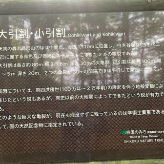 ２万年以上も前？有史の地震でできた深さ30メートルの亀裂とある