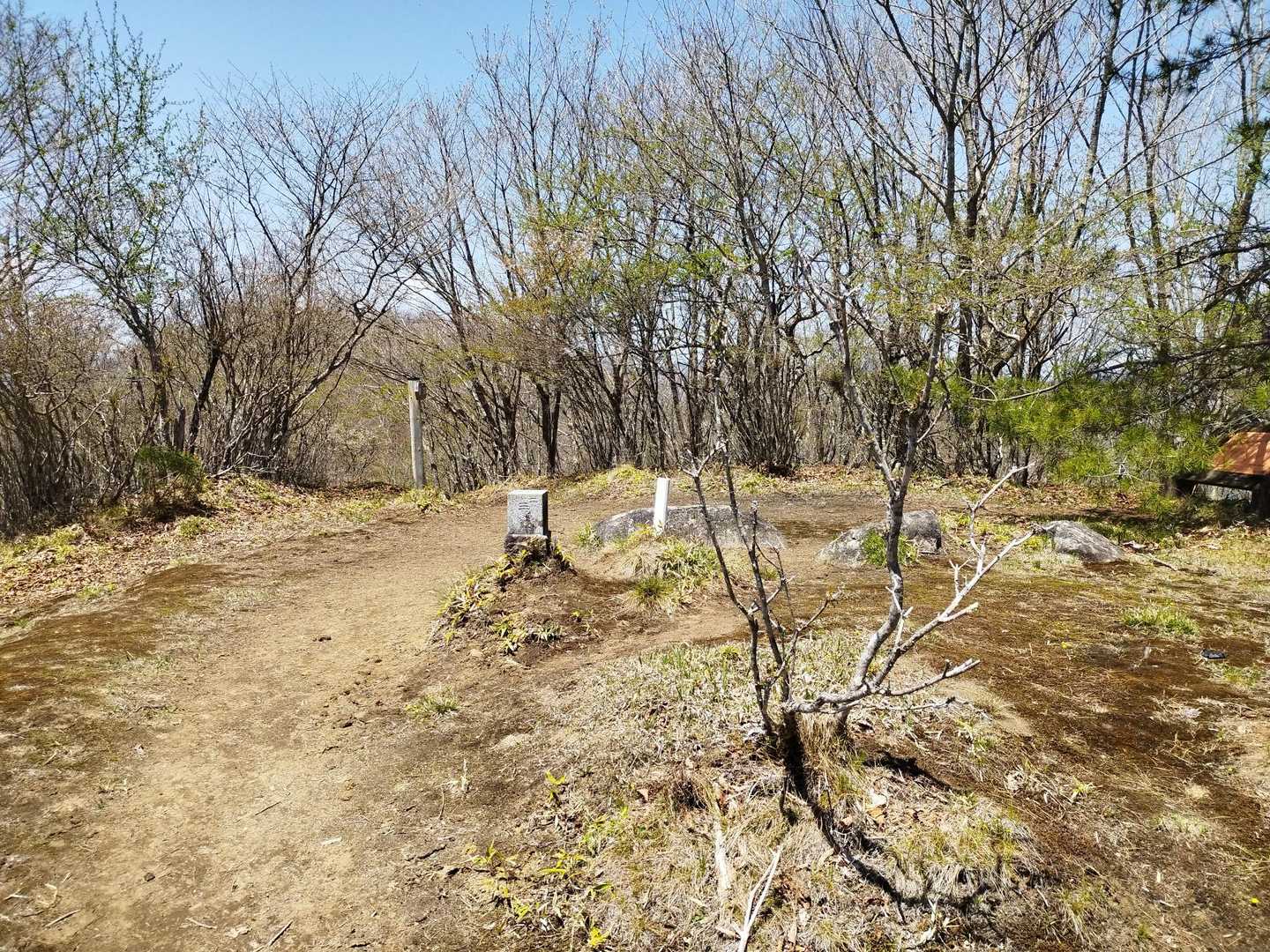 柳沢の頭　木々が生えていて眺望はいまいち。