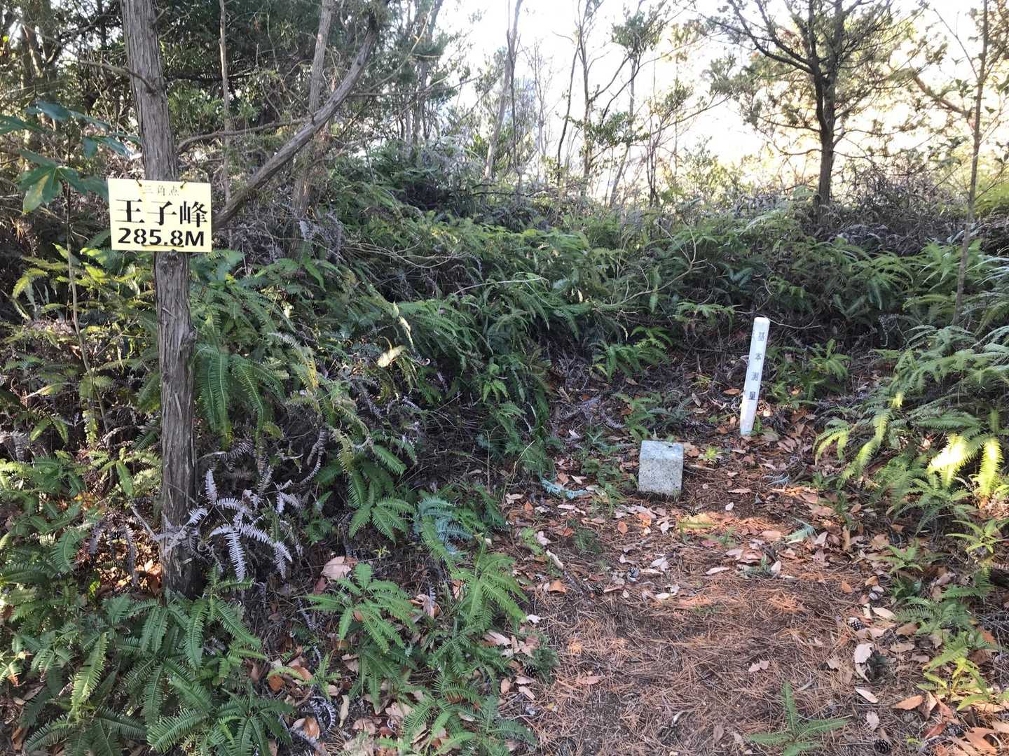 王子峰