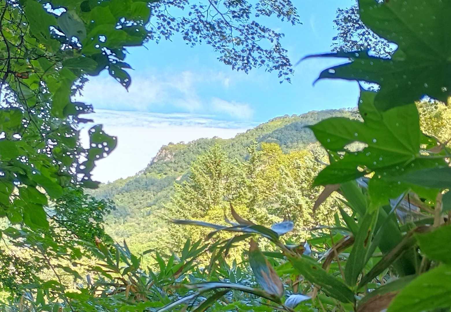 時々ﾁﾗﾘ✨👀ｱﾉ崖は…？