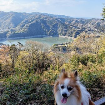 ついでに津久井城山へ