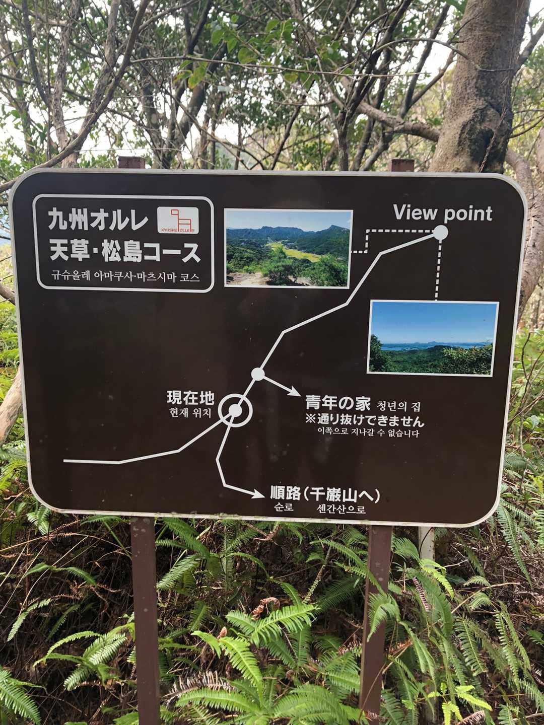 立派な案内板ですが、、私には良く解りません💦