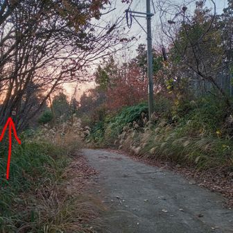 こーさん、おはようございます😄
山頂プレートが分からない方が居ったので、西側から・・