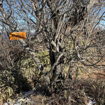 こちらにも鼻曲山
大天狗というそう
ここまでノートレースだったので、出会ったお二人は行っていないよう
もったいない