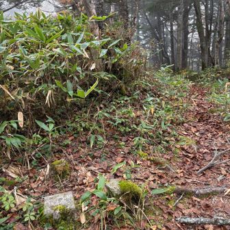 中村新道途中の三角点（2,246m）見晴らしは良くない😅少ししか歩いていませんが、登山道は思っていたより歩きやすかった。