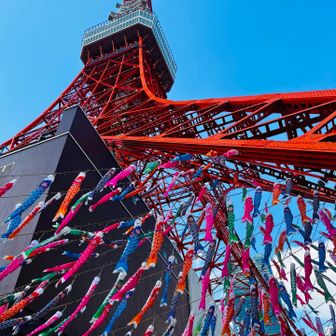 まだ3月！鯉のぼりフライング😆🎏
