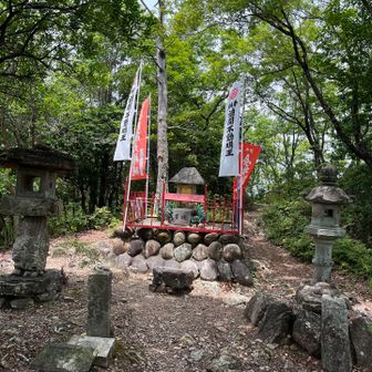 金毘羅山到着、ふなちゃんさんとお会いできました。お声がけありがとうございました😸