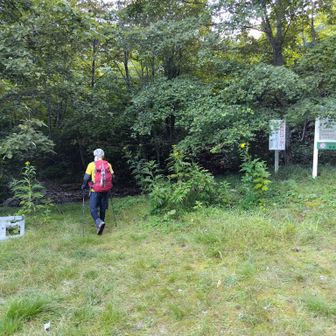 6:00🕕️神威山荘🛖を出発🚶‍♂

前回登った6年前はこの付近に🐻がうろついていたという情報があったのを思い出す🙄💭