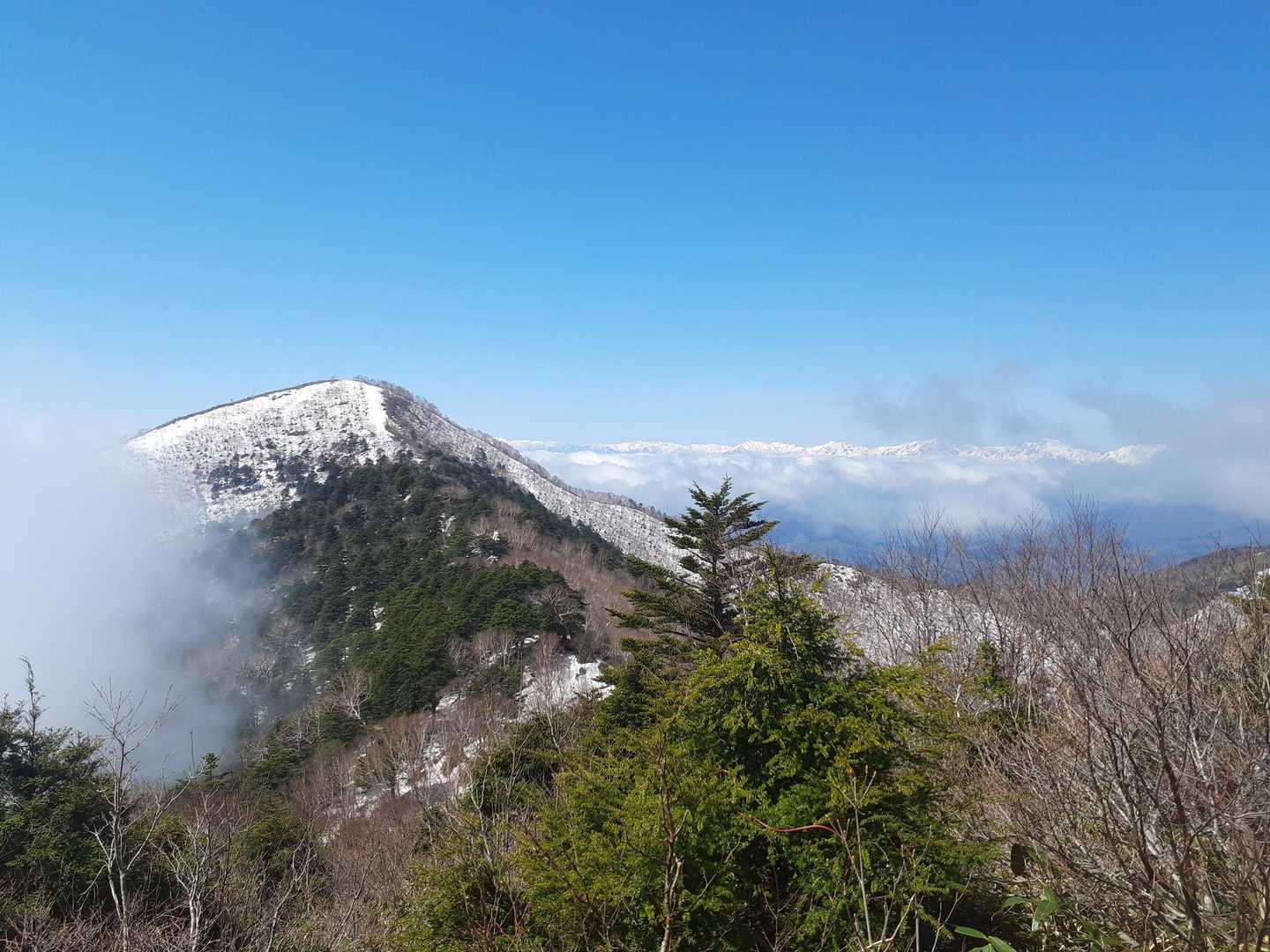 ここまで写真なんか撮ってる余裕無し。飯縄山山頂を振り返って