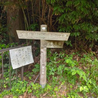 登山口はこちらの道標