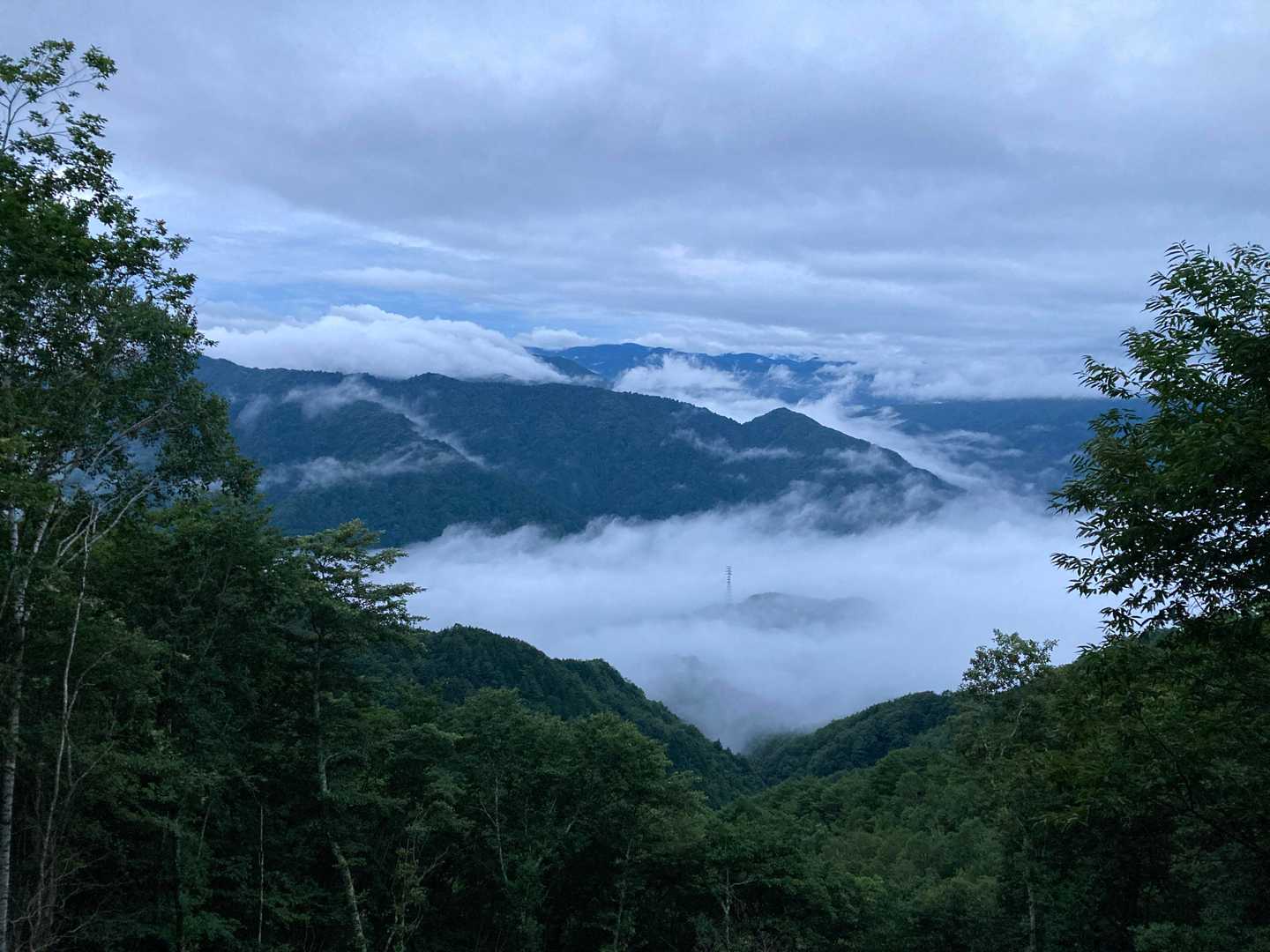 雲海