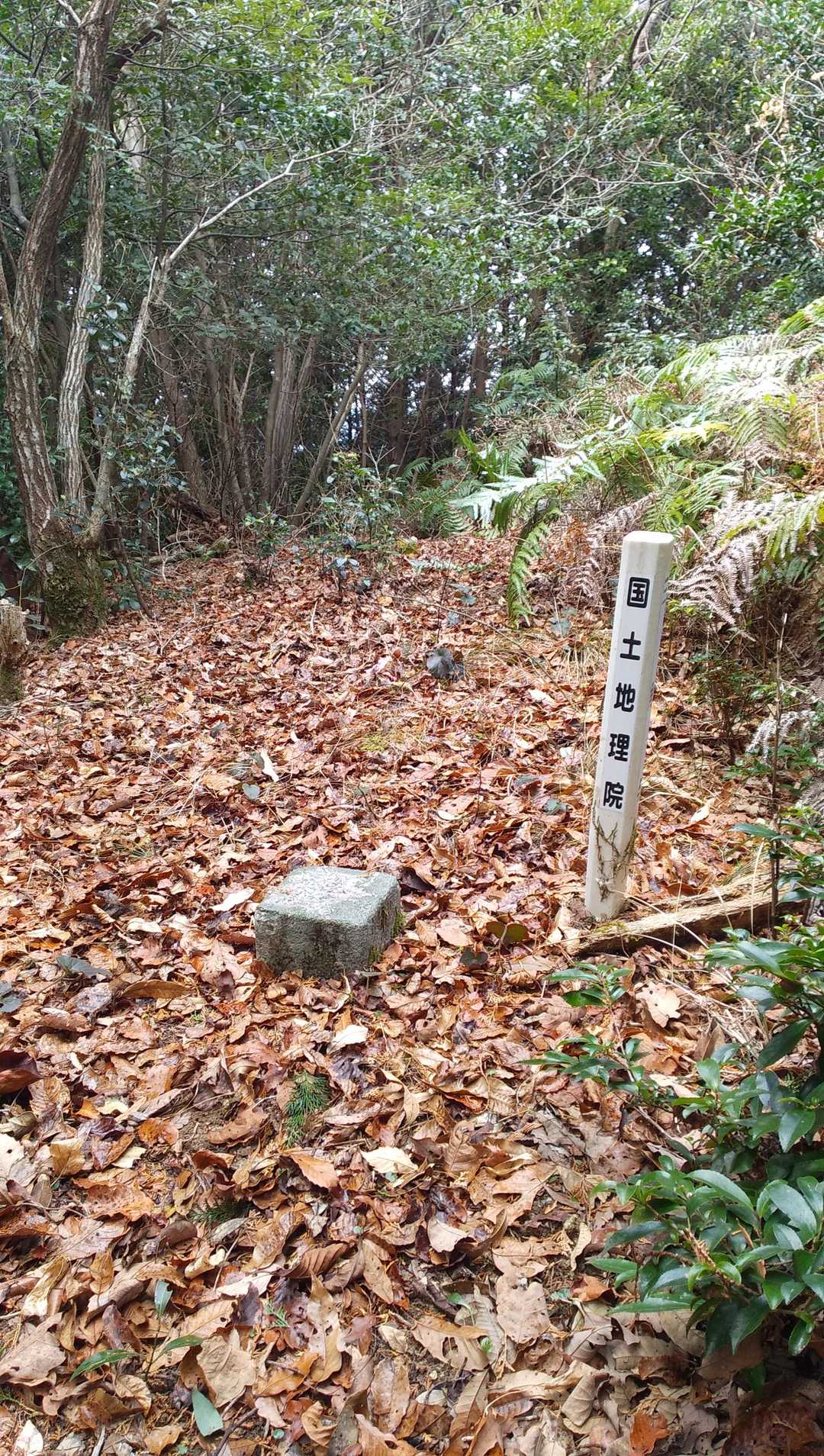 山頂風景。