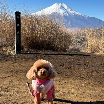 平尾山かぜつよ