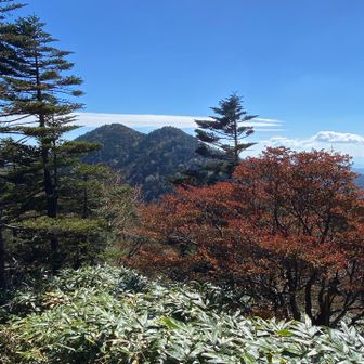 北側から観る大川入山👀あれっ2こぶあるな…