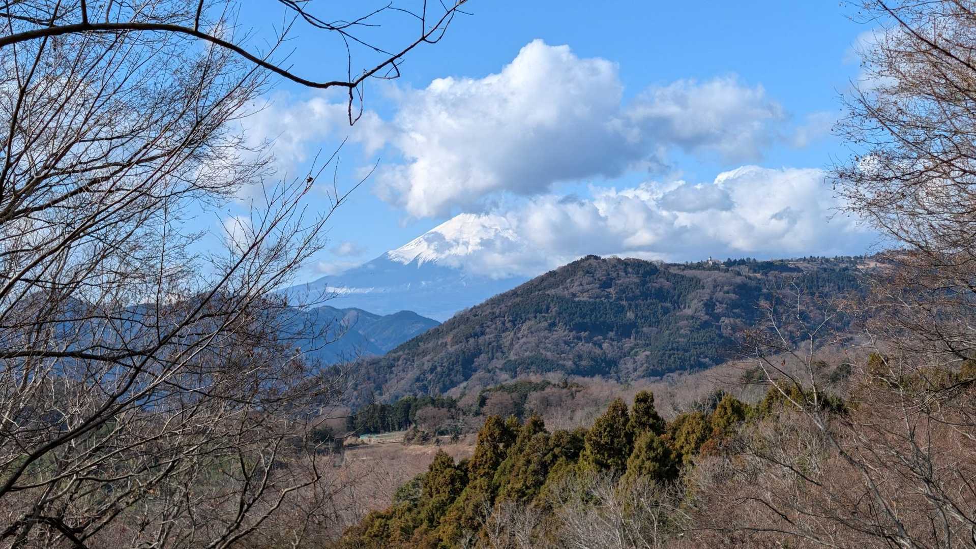 渋沢駅-頭高山-八国見山-浅間台-秦野駅 縦走コースの写真