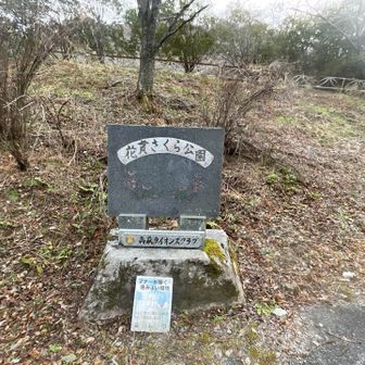 ここまでの写真が撮れていないカメラアプリのバグで残念な結果に😩😩
ここの前に分かりづらい登山口があり進んでいく感じでした横根山はかなり急登でトレーニングしがいがあります😁🏃