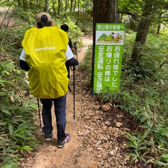 下山しました。
途中何人か登ってくる登山者さんとすれ違ったので、麓の情報を聞いてみたところ、人間用の応急の橋を作ってるところではあるらしい。でも、いつ通れるようになるかは分からないって。