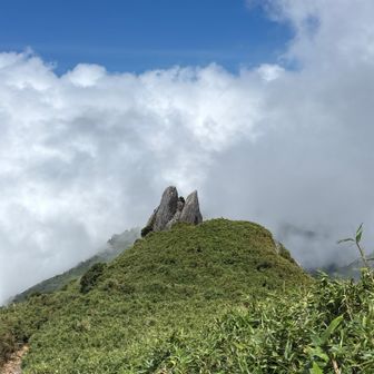 屋久島のイルカ🐬岩です