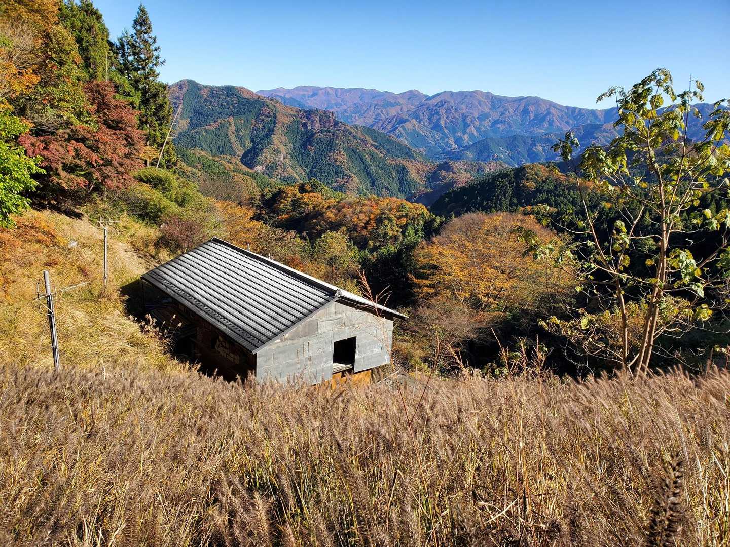 草の中を無理やりに降りて、なんとか登山口に戻りました。草の種がすごくついていて、とるのに難儀した。