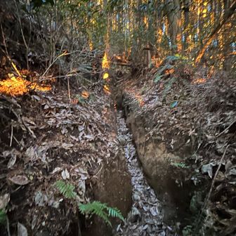 階段も急で細いところもあり思ったより大変💦