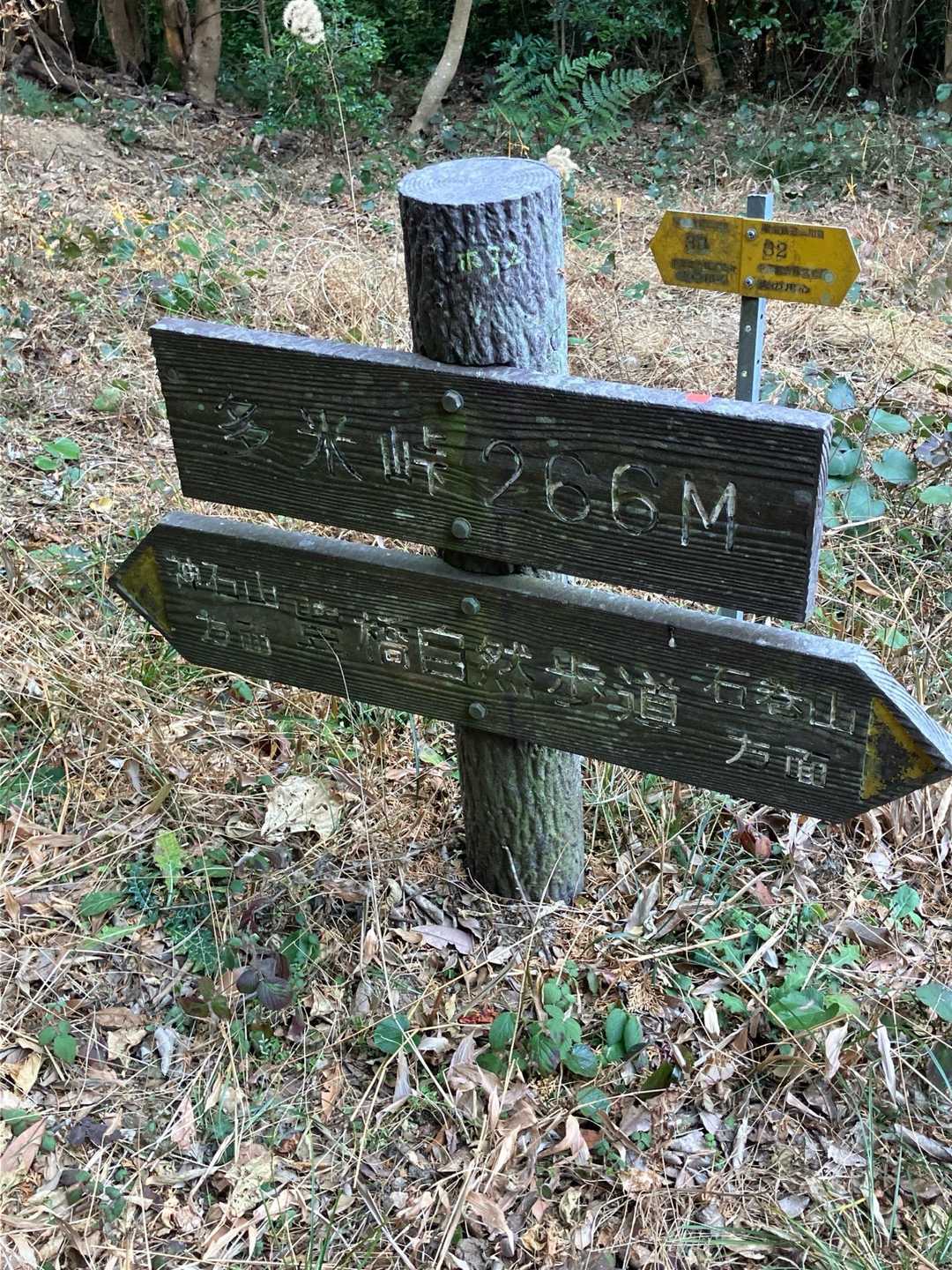 多米峠まで登って来ました♪