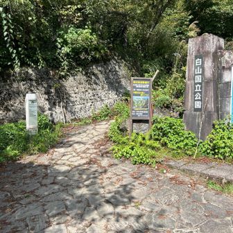 最後の最後で小橋で足を踏み外してしまい小川に転落してしまいました💦