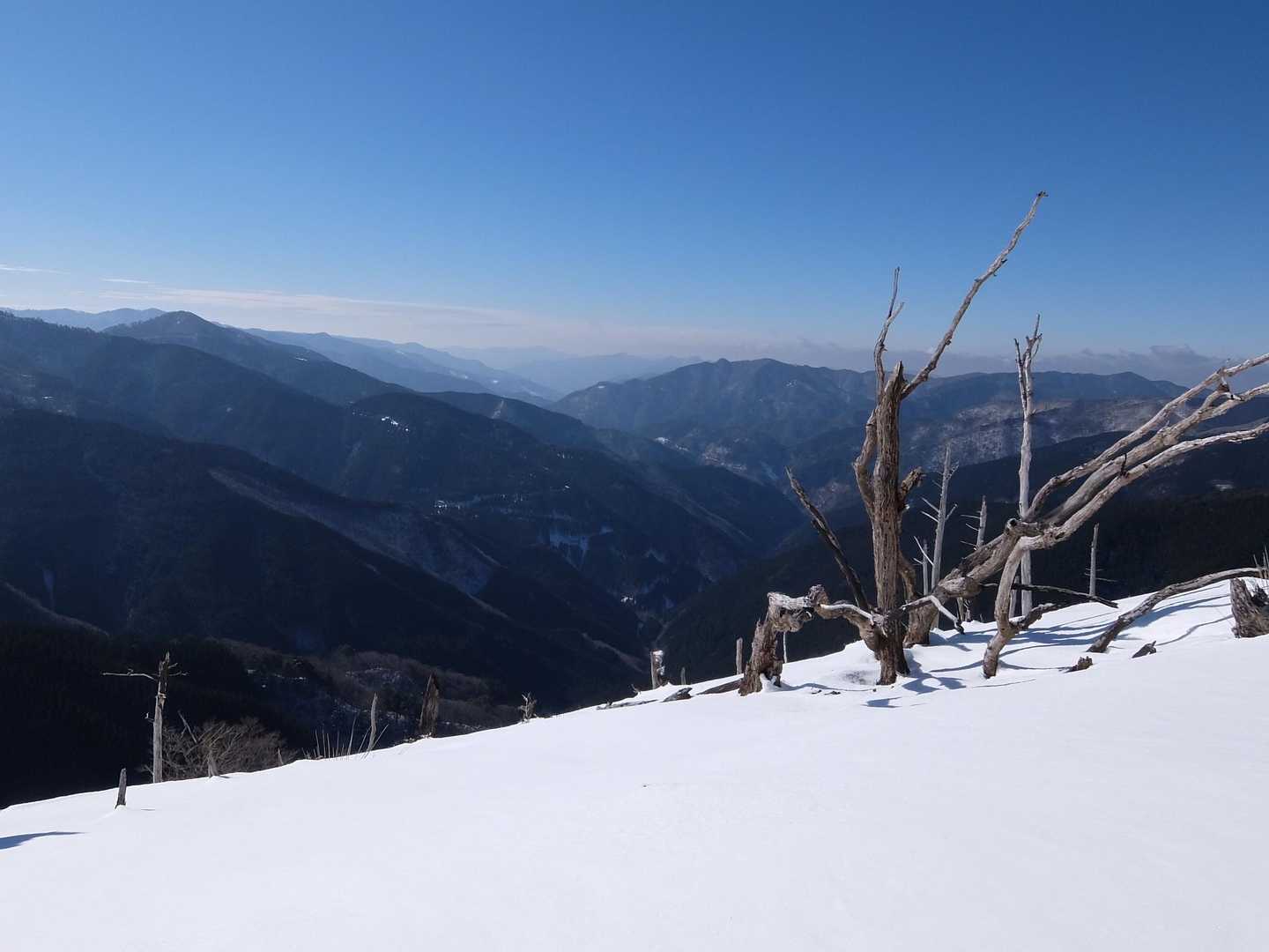 平家山登山口-平家山-後平家山 往復コースの写真