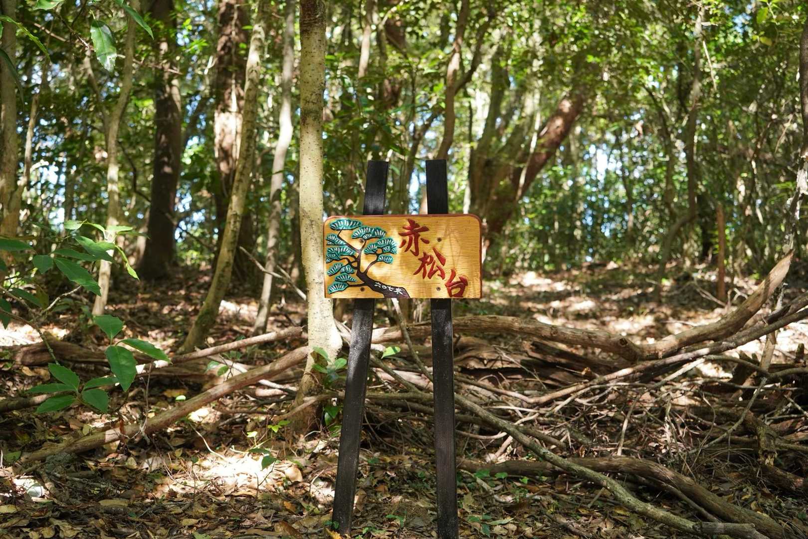 尺岳 周回コースの写真