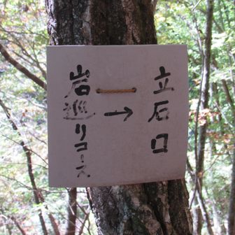 また道が分かれており、小さな看板に従って岩巡りのコースに入ります