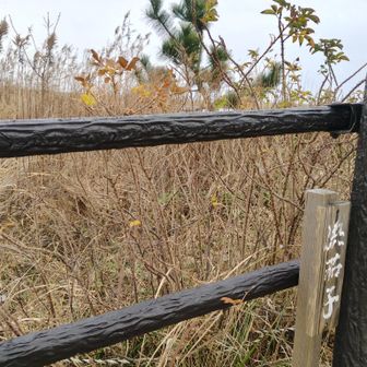 痛恨のピンボケ＞＜ｂ