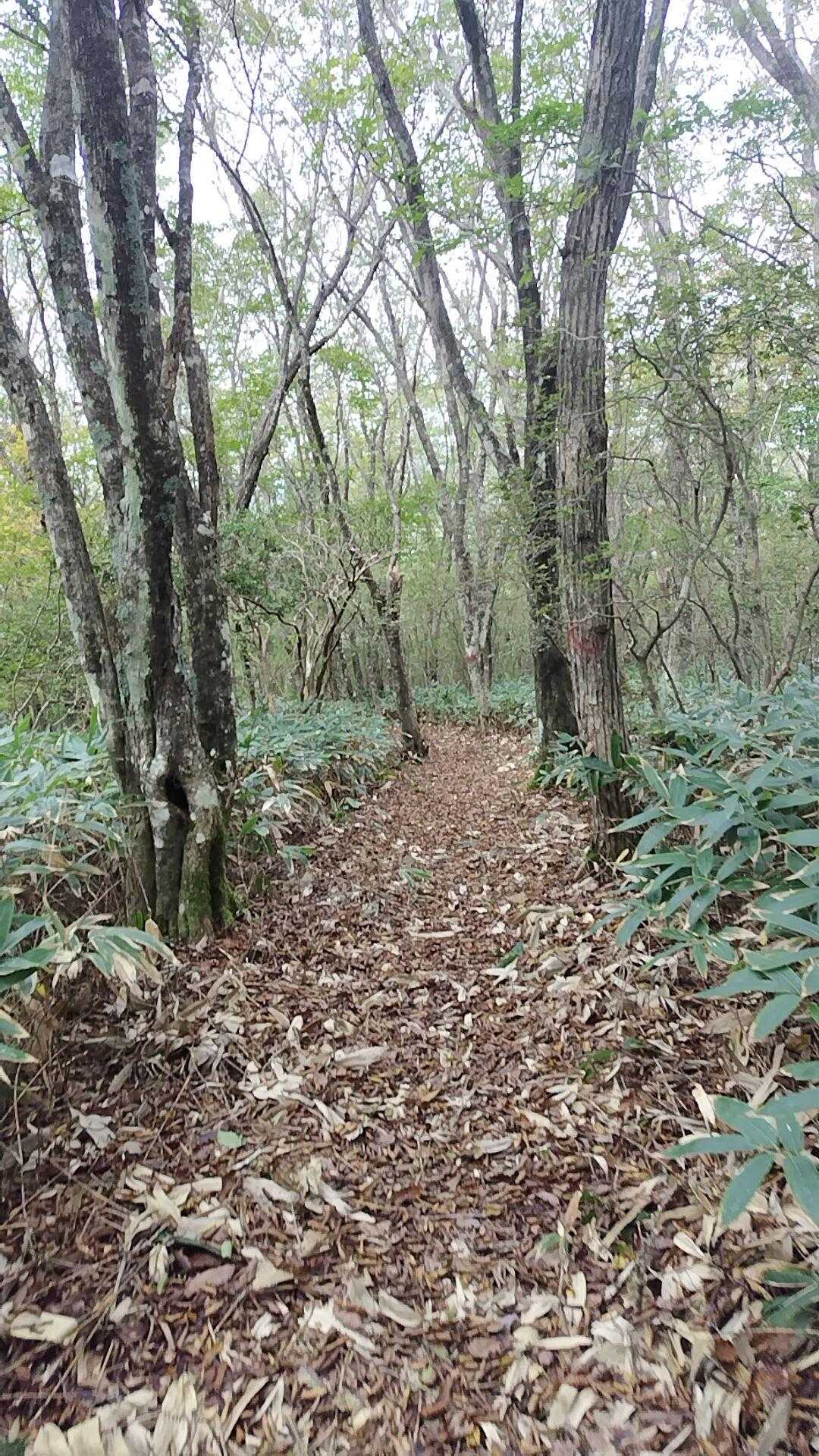 さーてあとは降りるだけ